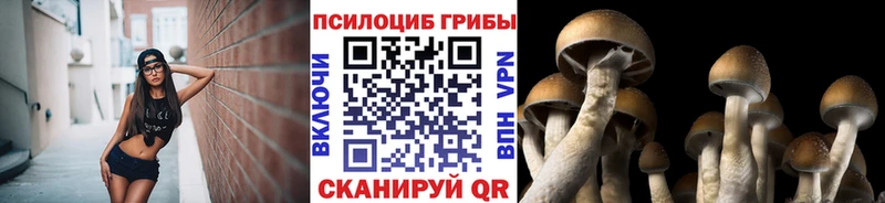 Купить где  Ужур  Галлюциногенные грибы GOLDEN TEACHER 