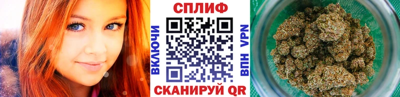 Бошки марихуана THC 21%  Купить где  Ужур 